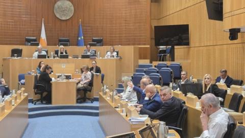 Έντονη αντιπαράθεση Αννίτας και Κάρογιαν-Αναφορές σε ασέβεια από την ΠτΒ, φωνές για λογοκρισία από τον Πρόεδρο της ΔΗΠΑ
