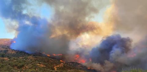 Προφυλακιστέος ο 48χρονος δημοτικός υπάλληλος που φέρεται να έβαζε φωτιές στην Ελλάδα-«Λάθος άνθρωπο πιάσατε»