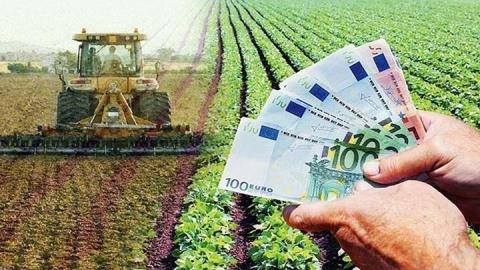 Ενίσχυση €1.5 εκ. σε γεωργούς που πλήγηκαν από καιρικές συνθήκες αποφάσισε το Υπουργικό