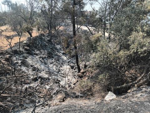 Εθελοντές αποκατέστησαν ξερολιθιές στο Σούνι-Ζανατζιά