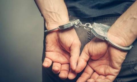 Έστησε νέα επιχείρηση για λαθροθηρία η Αστυνομία-Εντοπίστηκαν 87 νεκρά άγρια πτηνά, ύποπτος 30χρονος