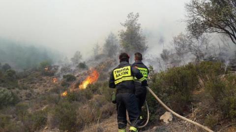 Υπό πλήρη έλεγχο δασική πυρκαγιά στην Σταυροκόννου