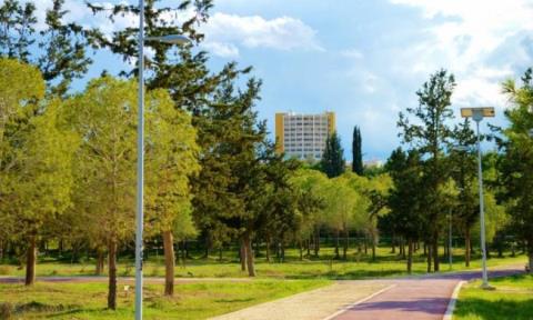 Ξέσπασε πυρκαγιά στο Πάρκο Παιδαγωγικής Ακαδημίας λόγω ρίψης κροτίδας