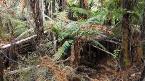 Έκρυψε τα παιδιά του στην πυκνή άγρια φύση για σχεδόν τέσσερα χρόνια-Απίστευτη υπόθεση στη Νέα Ζηλανδία (pics)
