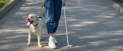 Τρύπια η νομοθεσία για το δικαίωμα τυφλών να συνοδεύονται από σκύλο-βοηθό-Ζητά αλλαγές η Βουλή