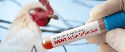 Σε επαγρύπνηση η Κύπρος για τη γρίπη των πτηνών μετά τα κρούσματα στην Ευρώπη-Στάλθηκαν ήδη οδηγίες σε παραγωγούς