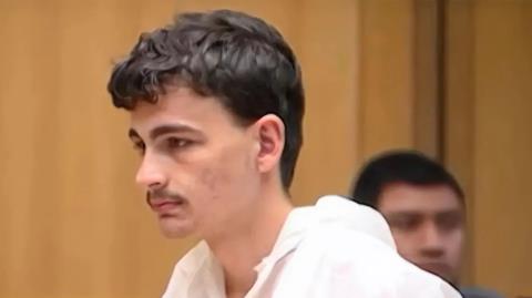 Χτύπησε τη μητέρα του μέχρι θανάτου με σφυρί και έτρεχε στο δάσος φωνάζοντας «μαμά»