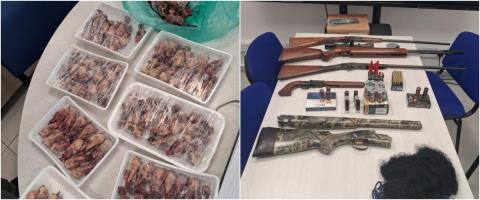 Πέρασε χειροπέδες σε 55χρονο η Αστυνομία για τα κρανία αγρινών και τα όπλα που εντοπίστηκαν σε δύο επαρχίες