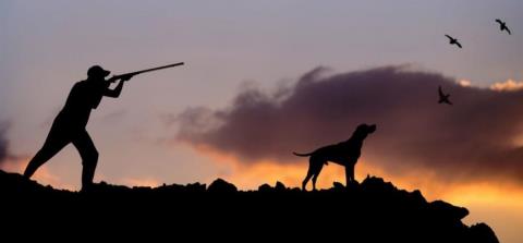 Κυνηγετική εξόρμηση με 36 χιλιάδες κυνηγούς-Πτωτική τάση λόγω τρόπου ζωής και μειωμένο θήραμα