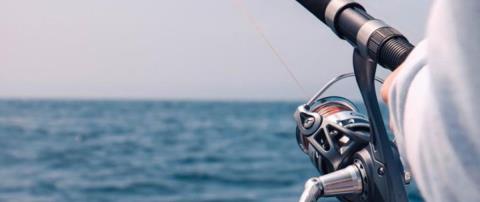 Σε 190 καταγγελίες προχώρησε το Τμήμα Αλιείας το καλοκαίρι-Πρόστιμα ύψους €17.392, ασκήθηκαν ποινικές διώξεις