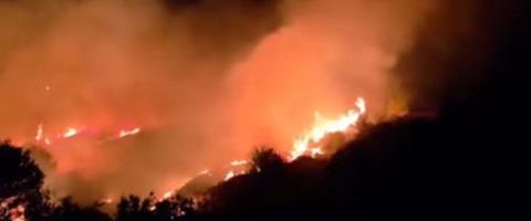 ΒΙΝΤΕΟ: Πυρκαγιά ξέσπασε στην περιοχή της Τάλας στην επαρχία Πάφου