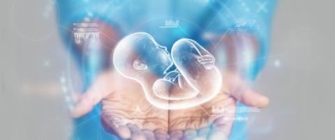 Στο τραπέζι η ειδική άδεια σε γονείς για ιατρικώς υποβοηθούμενη αναπαραγωγή-Ζητούνται ξεκάθαρες ρυθμίσεις από Υπουργεία και συντεχνίες