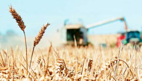 Σε αποχή από την εργασία τους τη Δευτέρα και οι μεταφορείς σιτηρών και ζωοτροφών