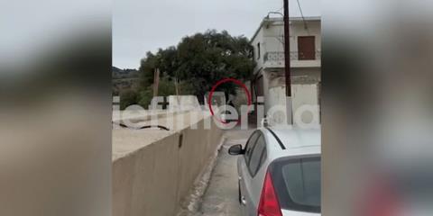 Συνελήφθη και ο δεύτερος άνδρας στα Βορίζια που εμφανίζεται με τον γαμπρό του Καργάκη στο βίντεο