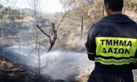 Βολή της Εθνικής Φρουράς προκάλεσε πυρκαγιά στην Λάρνακα