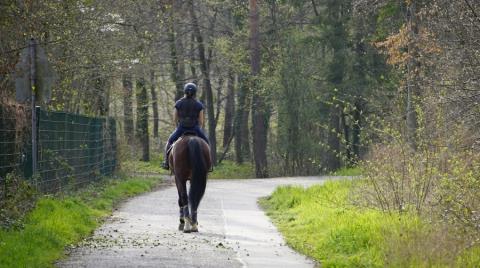 Έρχονται πρόστιμα για όσους τρέχουν με... άλογο, τινάζουν χαλιά ή ο σκύλος τους γαυγίζει υπερβολικά-Δείτε τη λίστα με τα εξώδικα