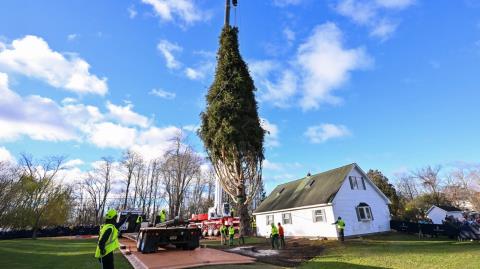 Έλατο 100 ετών από τη Νέα Υόρκη θα στολίσει τα Χριστούγεννα το Rockefeller Center-Η συγκινητική ιστορία του