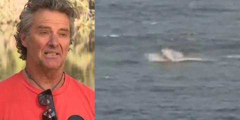 BINTEO: Η στιγμή που ένας windsurfer παρασύρεται κάτω από το νερό από καρχαρία-Πώς κατάφερε να γλιτώσει