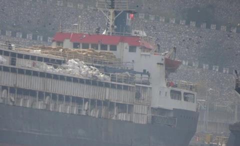 Παγιδευμένες στο πλοίο παραμένουν χιλιάδες αγελάδες στην Τουρκία-Τουλάχιστον 58 πέθαναν, άλλες 140 γέννησαν