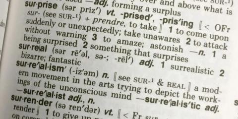 Η επιλογή της «Λέξης της Χρονιάς» και το περίτεχνο τελετουργικό-Γλωσσολόγος εξηγεί τη διαδικασία