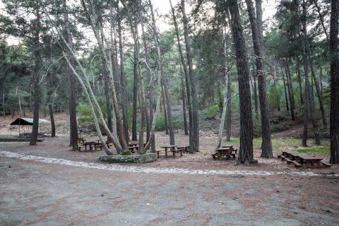 Αναστολή λειτουργίας κατασκηνωτικού χώρου Πλατανιών για εργασίες αναβάθμισης