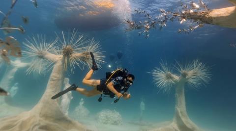 Πράσινο φως Υπουργικού στο νομοσχέδιο για τον καταδυτικό τουρισμό-Στόχος η παροχή υπηρεσιών καταδύσεων αναψυχής με ασφάλεια