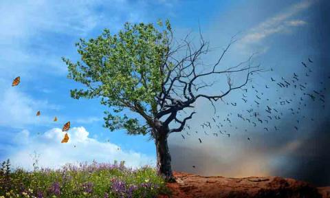 Υφ. Τουρισμού: Προτεραιότητα μας η προσαρμογή στην κλιματική αλλαγή