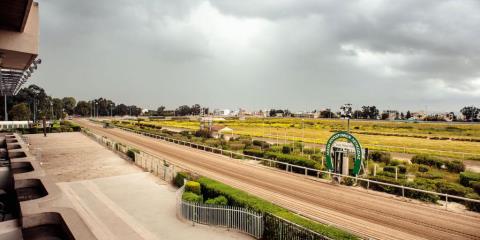 Έφοδος της Αστυνομίας στον Ιππόδρομο-Ελέγχθηκαν δεκάδες πρόσωπα, δύο ειδοποιήσεις για αδήλωτη εργασία