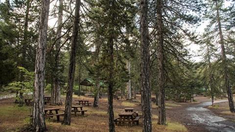 Περίπου 1.3 εκατομμύρια για προστασία και ανάδειξη των δασών σε δράση μέσω Κοινής Αγροτικής Πολιτικής προωθεί το Υπουργείο Γεωργίας