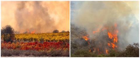BINTEO: Ασταμάτητη η μάχη με τις φλόγες στην Πάφο, στήθηκε προωθημένο κέντρο ελέγχου-Ανέλαβε τη διαχείριση ο διευθυντής επιχειρήσεων