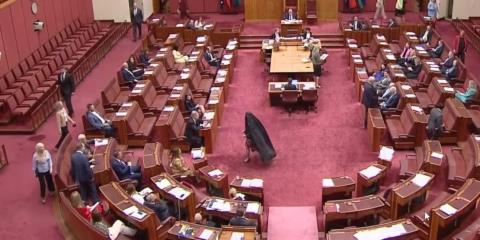 Σάλος στην Αυστραλία-Ακροδεξιά γερουσιαστής εμφανίστηκε με μπούρκα στο κοινοβούλιο