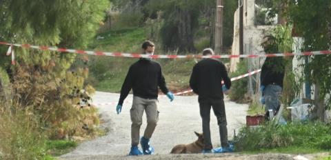 Νέα στοιχεία για τον φόνο της 75χρονης στη Σαλαμίνα – Ύποπτη η νύφη της