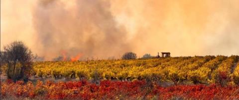 Ανησυχία στην Πάφο για τις ανεξήγητες πυρκαγιές-Για επαναλαμβανόμενο φαινόμενο μιλούν οι κάτοικοι