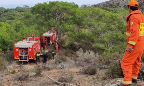 Υπάρχουν ενδείξεις για καψάλισμα χόρτων μετά από την πυρκαγιά στη Σολέα