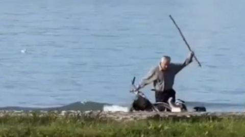 Το βίντεο που δίχασε το ίντερνετ-Τουρίστρια σταματά ηλικιωμένο που χτυπούσε σκυλιά που του επιτέθηκαν