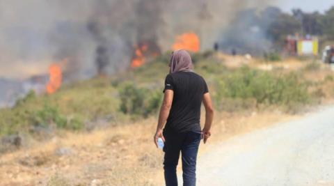 Ανέλαβε την αποκατάσταση περιοχών στη Λαόνα, που πλήγηκε από την πυρκαγιά το Κέντρο Μελετών «ΑΚΤΗ»