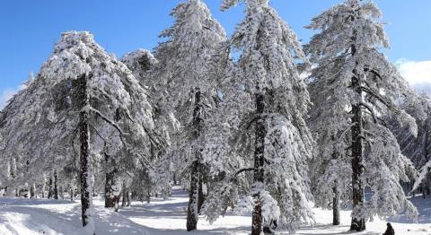 Χειμωνιάτικο σκηνικό στο Τρόοδος-Πέφτουν τα πρώτα χιόνια το Σαββατοκύριακο