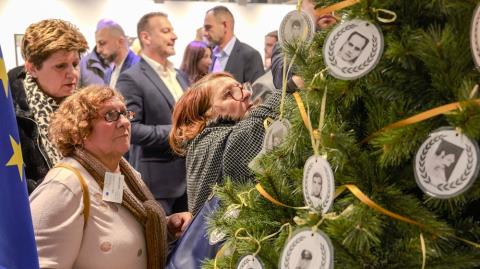 Το Χριστουγεννιάτικο δέντρο των αγνοουμένων στο Ευρωπαϊκό Κοινοβούλιο-Ράγισαν καρδιές, δάκρυσαν και οι πέτρες