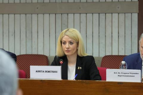 Α. Δημητρίου: Ο ΔΗΣΥ θα καταθέσει τροπολογίες για φορολογική μεταρρύθμιση