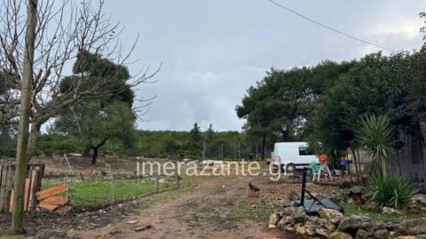 Η οικογένεια είχε βρει αδέσποτο το πίτμπουλ και το φιλοξενούσε μέχρι να δοθεί για υιοθεσία-Πώς έγινε η τραγωδία στη Ζάκυνθο