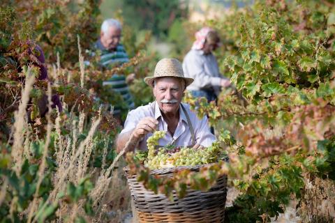 Η Kουμανδαρία στον Κατάλογο Άυλης Πολιτιστικής Κληρονομιάς UNESCO
