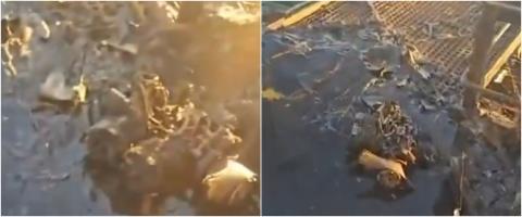 Οι Ουκρανοί κατηγορούν τους Ρώσους ότι επιτέθηκαν με drone σε τουρκικό εμπορικό πλοίο στη Μαύρη Θάλασσα