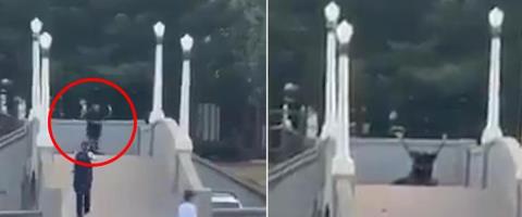 &Omicron; ά&gamma;&nu;&omega;&sigma;&tau;&omicron;&sigmaf; ή&rho;&omega;&alpha;&sigmaf; &tau;&omicron;&upsilon; &Sigma;ί&delta;&nu;&epsilon;ϊ-&Alpha;&phi;ό&pi;&lambda;&iota;&sigma;&epsilon; &delta;&rho;ά&sigma;&tau;&eta;, &delta;έ&chi;&tau;&eta;&kappa;&epsilon; &pi;&upsilon;&rho;ά &alpha;&pi;ό &alpha;&sigma;&tau;&upsilon;&nu;&omicron;&mu;&iota;&kappa;&omicron;ύ&sigmaf; &kappa;&alpha;&iota; &xi;&upsilon;&lambda;&omicron;&kappa;&omicron;&pi;ή&theta;&eta;&kappa;&epsilon; &epsilon;&pi;&epsilon;&iota;&delta;ή &tau;&omicron;&nu; &pi;έ&rho;&alpha;&sigma;&alpha;&nu; &gamma;&iota;&alpha; &tau;&rho;&omicron;&mu;&omicron;&kappa;&rho;ά&tau;&eta;