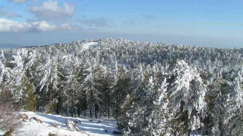 &Sigma;&upsilon;&nu;&epsilon;&chi;ί&zeta;&epsilon;&tau;&alpha;&iota; &eta; &chi;&iota;&omicron;&nu;ό&pi;&tau;&omega;&sigma;&eta; &sigma;&tau;&omicron; &Tau;&rho;ό&omicron;&delta;&omicron;&sigmaf;, &alpha;&nu;&alpha;&mu;έ&nu;&omicron;&nu;&tau;&alpha;&iota; &mu;&epsilon;&mu;&omicron;&nu;&omega;&mu;έ&nu;&epsilon;&sigmaf; &beta;&rho;&omicron;&chi;έ&sigmaf; &kappa;&upsilon;&rho;ί&omega;&sigmaf; &sigma;&tau;&alpha; &omicron;&rho;&epsilon;&iota;&nu;ά