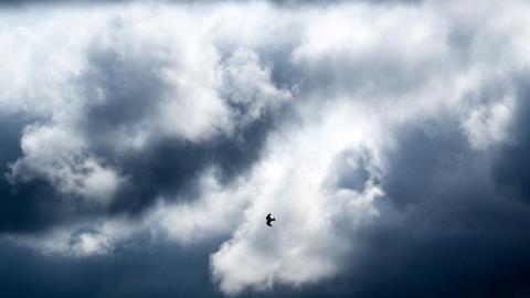 &Alpha;&nu;&alpha;&mu;έ&nu;&epsilon;&tau;&alpha;&iota; &pi;&tau;ώ&sigma;&eta; &tau;&eta;&sigmaf; &theta;&epsilon;&rho;&mu;&omicron;&kappa;&rho;&alpha;&sigma;ί&alpha;&sigmaf; &mu;έ&chi;&rho;&iota; &tau;&eta; &Delta;&epsilon;&upsilon;&tau;έ&rho;&alpha;-&Eta; &pi;&rho;ό&gamma;&nu;&omega;&sigma;&eta; &tau;&eta;&sigmaf; &Mu;&epsilon;&tau;&epsilon;&omega;&rho;&omicron;&lambda;&omicron;&gamma;&iota;&kappa;ή&sigmaf;