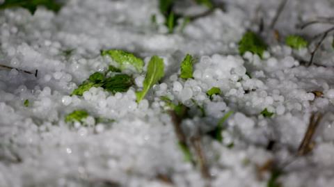 &Kappa;&alpha;&tau;&alpha;&beta;&lambda;ή&theta;&eta;&kappa;&alpha;&nu; &pi;ά&nu;&omega; &alpha;&pi;ό 17,3 &epsilon;&kappa;&alpha;&tau;. &epsilon;&upsilon;&rho;ώ &sigma;&epsilon; &pi;έ&rho;&alpha;&nu; &tau;&omega;&nu; έ&xi;&iota; &chi;&iota;&lambda;&iota;ά&delta;&omega;&nu; &delta;&iota;&kappa;&alpha;&iota;&omicron;ύ&chi;&omega;&nu; &gamma;&iota;&alpha; &tau;&iota;&sigmaf; &zeta;&eta;&mu;&iota;έ&sigmaf; &alpha;&pi;ό &kappa;&lambda;&iota;&mu;&alpha;&tau;&iota;&kappa;ά &phi;&alpha;&iota;&nu;ό&mu;&epsilon;&nu;&alpha;