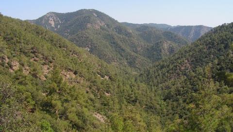 &Nu;&epsilon;&alpha;&rho;&omicron;ί &chi;ά&theta;&eta;&kappa;&alpha;&nu; &sigma;&tau;&omicron; &Tau;&rho;ό&omicron;&delta;&omicron;&sigmaf;-&Sigma;&tau;ή&theta;&eta;&kappa;&epsilon; &epsilon;&pi;&iota;&chi;&epsilon;ί&rho;&eta;&sigma;&eta; &delta;&iota;ά&sigma;&omega;&sigma;&eta;&sigmaf; &alpha;&pi;ό &tau;&eta;&nu; &Epsilon;&Mu;&Alpha;&Kappa;