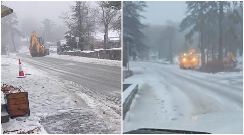 Έ&pi;&epsilon;&sigma;&alpha;&nu; &delta;έ&nu;&tau;&rho;&alpha;, &sigma;&tau;έ&gamma;&alpha;&sigma;&tau;&rho;&alpha; &kappa;&alpha;&iota; &tau;&sigma;ί&gamma;&kappa;&omicron;&iota; &lambda;ό&gamma;&omega; &tau;&omega;&nu; &iota;&si