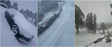 &Mu;&omicron;&nu;&alpha;&delta;&iota;&kappa;έ&sigmaf; &epsilon;&iota;&kappa;ό&nu;&epsilon;&sigmaf; &alpha;&pi;ό &tau;&omicron; &kappa;&alpha;&tau;ά&lambda;&epsilon;&upsilon;&kappa;&omicron; &Tau;&rho;ό&omicron;&delta;&omicron;&sig