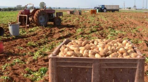 &Zeta;&eta;&tau;&omicron;ύ&nu; &epsilon;&pi;&iota;&delta;ό&tau;&eta;&sigma;&eta; &gamma;&iota;&alpha; &tau;&iota;&sigmaf; &zeta;&eta;&mu;&iota;έ&sigmaf; &pi;&omicron;&upsilon; &upsilon;&pi;έ&sigma;&tau;&eta;&sigma;&alpha;&nu; &tau;&omicron; 2025 &omicron;&iota; &pi;&alpha;&tau;&alpha;&tau;&omicron;&pi;&alpha;&rho;&alpha;&gamma;&omega;&gamma;&omicron;ί-&Theta;&alpha; &epsilon;&pi;&iota;&delta;&iota;ώ&xi;&omicron;&upsilon;&nu; &sigma;&upsilon;&nu;ά&nu;&tau;&eta;&sigma;&eta; &mu;&epsilon; &Pi;&alpha;&nu;&alpha;&gamma;&iota;ώ&tau;&omicron;&upsilon;